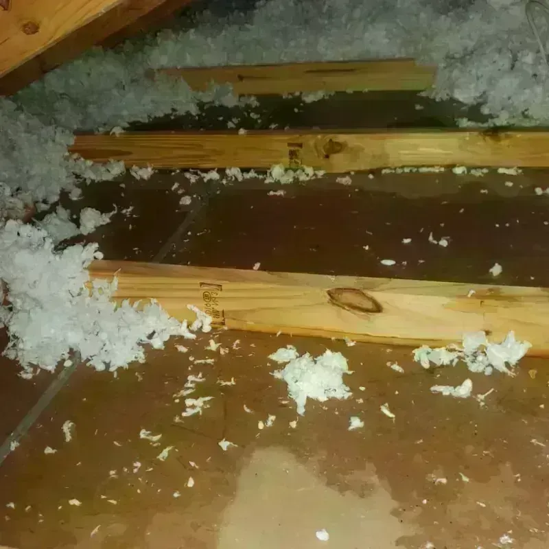 Attic Water Damage in Franklin County, IA