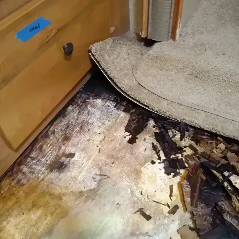 Wood Floor Water Damage in Franklin County, IA